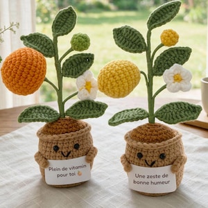 May include: Two crocheted potted plants with smiling faces. The left plant has an orange fruit, green leaves, and a white flower, holding a sign reading "Plein de vitamin pour toi". The right plant has a yellow lemon, green leaves, and a white flower, holding a sign reading "Une zeste de bonne humeur".