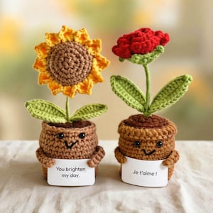 May include: Two crocheted potted plants with smiling faces. The left plant is a yellow sunflower with a brown center, holding a white sign that reads "You brighten my day." The right plant is a red flower, holding a white sign that reads "Je t'aime!"