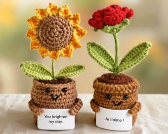 Può includere: Due piante in vaso all'uncinetto con facce sorridenti. La pianta a sinistra è un girasole giallo con centro marrone, che tiene un cartello bianco con scritto "You brighten my day." La pianta a destra è un fiore rosso con scritto "Je t'aime!"