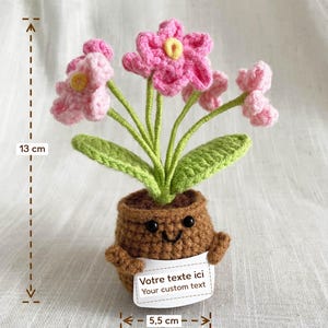 Plante crochetée avec fleurs roses, dimensions 13 cm de hauteur et 5,5 cm de largeur, cadeau personnalisable.
