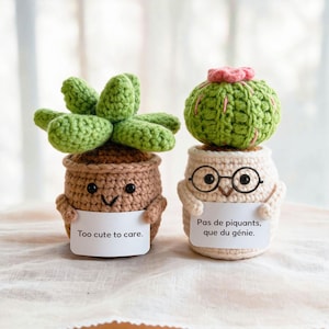 May include: Two crocheted succulent figures in pots. The left figure is brown with green leaves and a sign reading "Too cute to care." The right figure is cream-colored with a green cactus top, pink flower, black glasses, and a sign reading "Pas de piquants, que du génie."