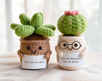 Può includere: Due figure di piante grasse all'uncinetto in vaso. La figura a sinistra è marrone con foglie verdi e un cartello con scritto "Too cute to care". La figura a destra è color crema con un cactus verde, un fiore rosa, occhiali neri e un cartello con scritto "Pas de piquants, que du génie."