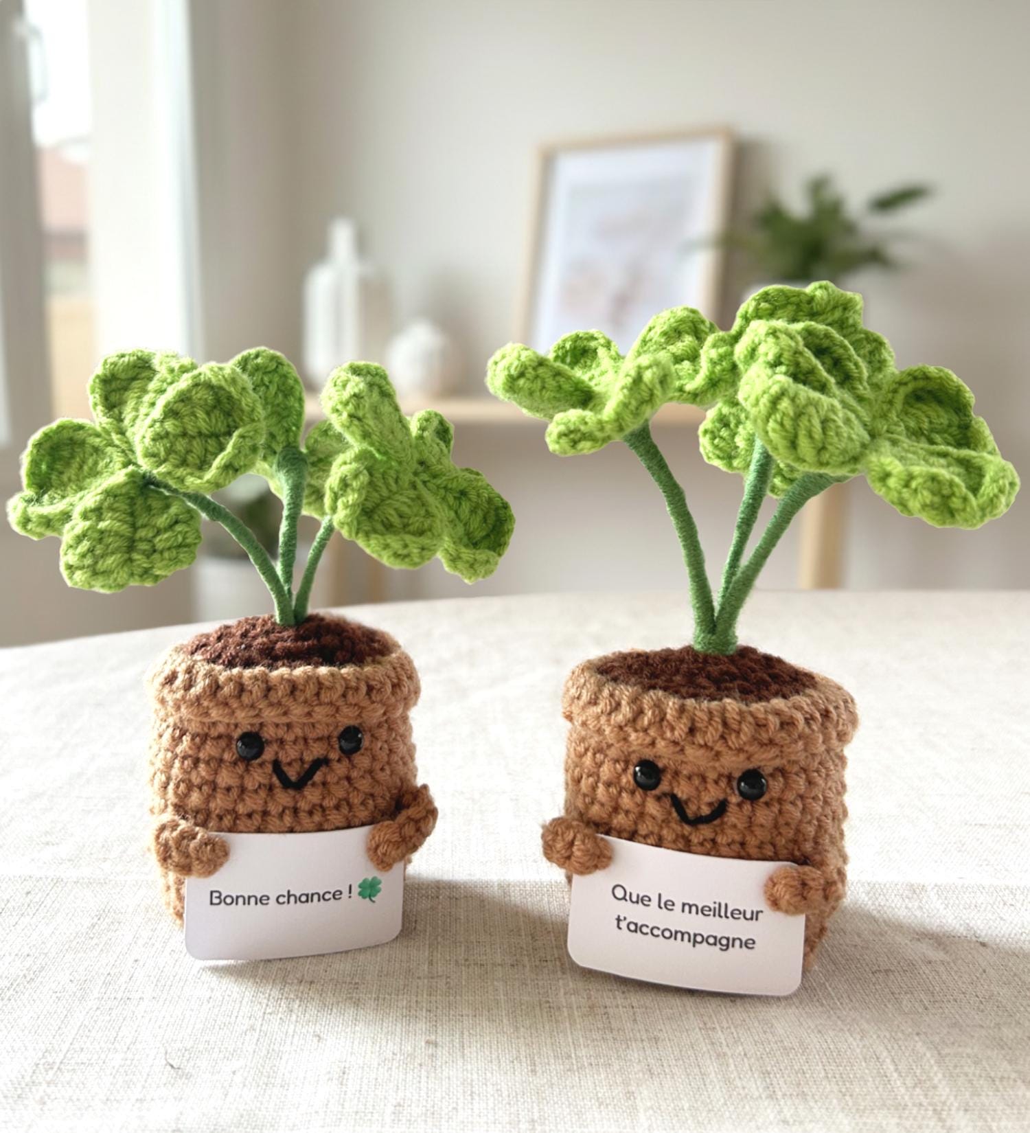 Topfpflanze verschenken - Etsy.de