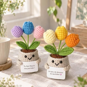 Peut inclure: Deux plantes en pot crochetées avec des visages souriants, tenant chacune un panneau blanc. Le pot de gauche a des tulipes violettes, bleues et roses avec le texte 'Tu fais fleurir ma journée !'. Celui de droite a des tulipes jaunes et orange avec 'Un peu de douceur au quotidien'.