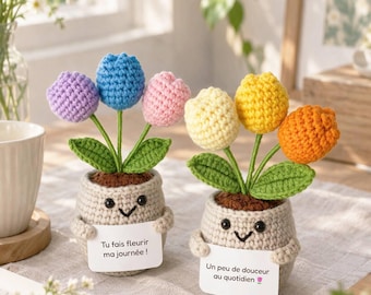 Può includere: Due piante in vaso all'uncinetto con facce sorridenti, ognuna che tiene un cartello bianco. Il vaso a sinistra ha tulipani viola, blu e rosa con il testo 'Tu fais fleurir ma journée!'. Il vaso a destra ha tulipani gialli e arancioni con 'Un peu de douceur au quotidien'.