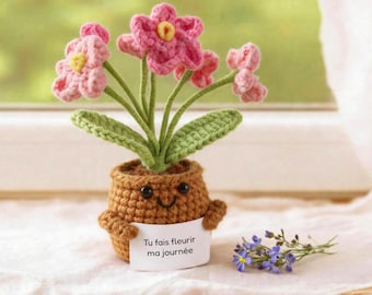 Può includere: Un vaso marrone all'uncinetto con un volto sorridente che tiene un cartello bianco con la scritta Tu fais fleurir ma journée. Il vaso contiene fiori rosa con centri gialli e foglie verdi. Un piccolo mazzetto di fiori blu si trova accanto.