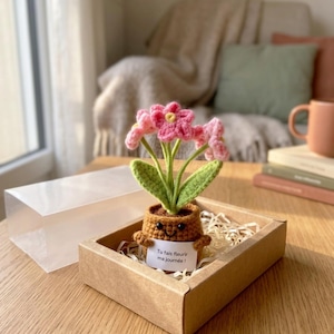 May include: A crocheted potted plant with pink flowers and green leaves in a brown pot with a smiling face. The pot holds a white sign with the text "Tu fais fleurir ma journ&eacute;e !" and is packaged in a cardboard box with a clear plastic lid.