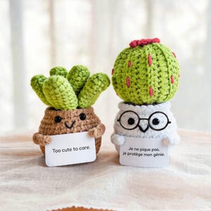 Peut inclure: Deux figurines succulentes crochetées avec des yeux en perles noires et de petits bras. La figurine de gauche est marron avec des feuilles vertes et un panneau "Too cute to care". La droite est blanche avec un cactus vert, des accents roses et un panneau "Je ne pique pas, je protège mon génie."