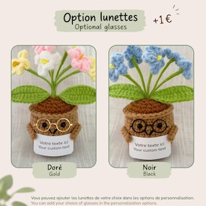 May include: Two crocheted potted plants with green leaves and colorful flowers. Each brown pot features a small face, a white sign with the text "Votre texte ici Your custom text," and round glasses in either gold or black wire frames.