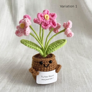 May include: A crocheted potted plant with pink flowers, green leaves, and a brown pot featuring a smiling face. The pot holds a white sign with the text "Tu fais fleurir ma journ&eacute;e!" and the image includes the text "Variation 1" in the corner.