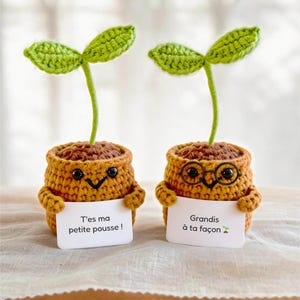 Peut inclure: Deux plantes en pot crochetées avec des feuilles vertes et des pots marron. Un pot a un visage souriant et tient un panneau indiquant T'es ma petite pousse !. L'autre porte des lunettes rondes noires, a un visage souriant et tient un panneau Grandis à ta façon.