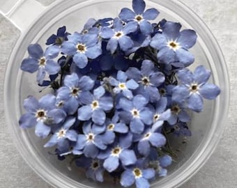 Dried Flowers for Resin