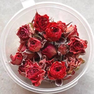 Red Roses Buds: Real Dried Flowers for Resin  Art