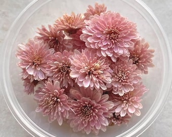 Dried Flowers for Epoxy Resin: Pink Chrysanthemum 20 pcs, Dried Wildflowers