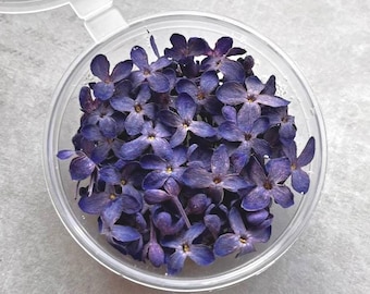 Lilac dried flowers: Purple Real Small Blooms for Resin Art