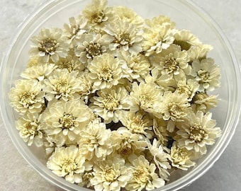 Dried White Flowers 70 pccs: Pearl Flower Resin Art Supplies
