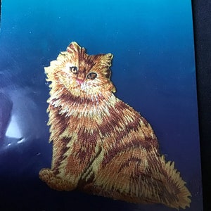 May include: A brown and orange embroidered iron-on patch of a sitting cat with a fluffy tail. The patch has the text "Applique. Applicacion" on the bottom.