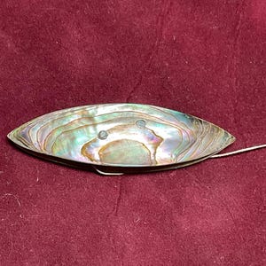 May include: An iridescent abalone shell, oval-shaped, with a silver wire attached. The shell displays a range of colours including blues, greens, and purples. The shell has a smooth, polished surface and is set against a burgundy background.