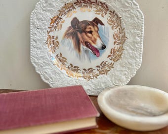 Vintage Collie Dog Plate Lord Nelson Pottery England 21cm Gold Gilt Decorative Plate Hand Crafted Staffordshire