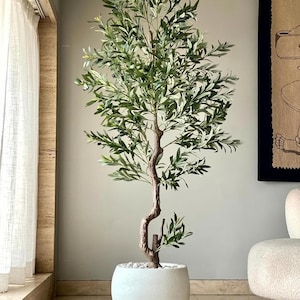 Puede incluir: Un olivo artificial en una maceta blanca y redondeada. El árbol tiene un tronco delgado y marrón con hojas verdes y verde plateado. La maceta está llena de guijarros blancos. El árbol está en el interior, cerca de una ventana con cortinas blancas.