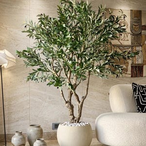 Pu&ograve; includere: Un alto ulivo artificiale con foglie verdi e piccole olive scure, caratterizzato da un tronco marrone strutturato. L'albero &egrave; piantato in un grande vaso rotondo in pietra color bianco sporco, riempito di ciottoli bianchi lisci alla base.