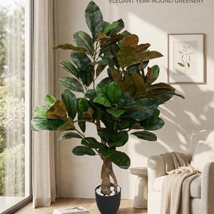 Puede incluir: Un árbol de magnolia artificial con hojas grandes de color verde oscuro y detalles marrones. El árbol está en una maceta negra llena de piedras blancas. El texto dice "PREMIUM ARTIFICIAL MAGNOLIA TREE" y "ELEGANT YEAR-ROUND GREENERY".