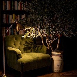Pu&ograve; includere: Una poltrona trapuntata in velluto verde oliva posizionata accanto a una lampada da terra in ottone, un ulivo in vaso e uno sgabello da giardino in ceramica color crema con una piccola pila di libri, davanti a una libreria scura.