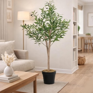 May include: A tall artificial olive tree in a black pot. The tree has green leaves and small black olives. It is placed on a neutral-colored rug in a living room setting. The tree's trunk is a light brown color.