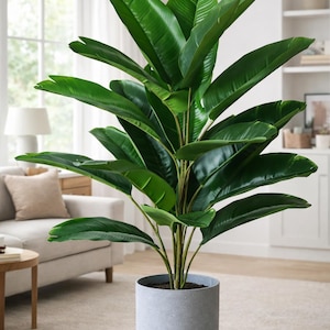 Puede incluir: Una taza de cerámica blanca con un asa negra y el texto "But First, Coffee" en negrita negra. La taza está sobre un fondo borroso. La taza mide aproximadamente 10 cm de altura.