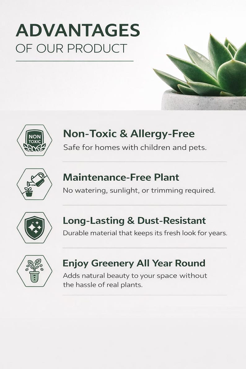 Pu&ograve; includere: Un grafico informativo intitolato ADVANTAGES OF OUR PRODUCT con una pianta succulenta verde in un vaso grigio. Elenca quattro vantaggi: Non-Toxic & Allergy-Free, Maintenance-Free Plant, Long-Lasting & Dust-Resistant e Enjoy Greenery All Year Round.