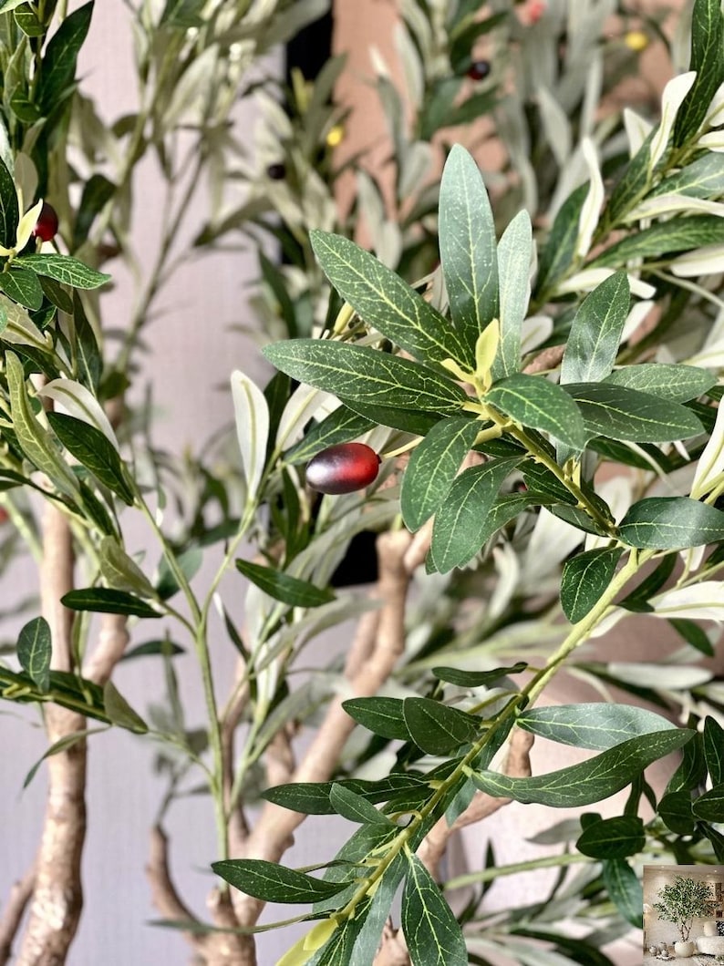 Pu&ograve; includere: Un albero di ulivo artificiale caratterizzato da rami sottili e strutturati di colore marrone chiaro e numerose foglie appuntite di tonalit&agrave; verde. Piccole olive ovali di colore nero violaceo sono sparse tra il fogliame.