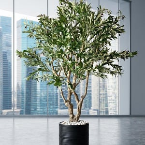 Pu&ograve; includere: Un ulivo artificiale con un tronco marrone testurizzato e foglie verdi con piccole olive scure. L'albero &egrave; piantato in un vaso cilindrico nero a coste, riempito alla base con pietre decorative bianche per un aspetto strutturato.