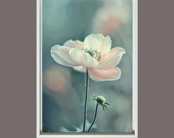 Serene weiße Anemone Blumen Leinwanddruck, botanische Wandkunst für modernes Wohndekor