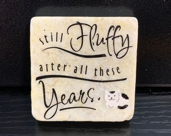 Funny Cat Marble Magnet, Still Fluffy After All These Years