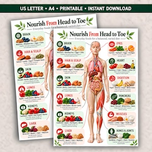 以下が含まれることがあります： Nourish From Head to Toeと題された印刷可能な教育用チャート。中央に人間の解剖図があり、特定の臓器を指す線が引かれています。各臓器には健康的な食品のアイコンと、その栄養上の利点を説明するテキストが添えられています。