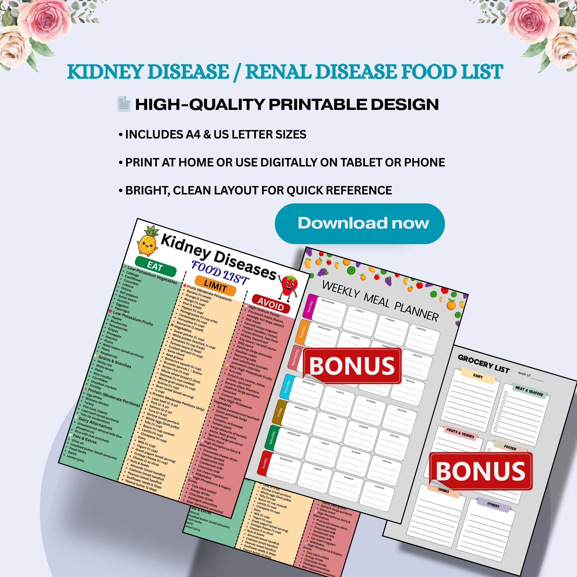 Kidney Disease Food List Printable PDF, Renal Diet Food List, Kidney ...
