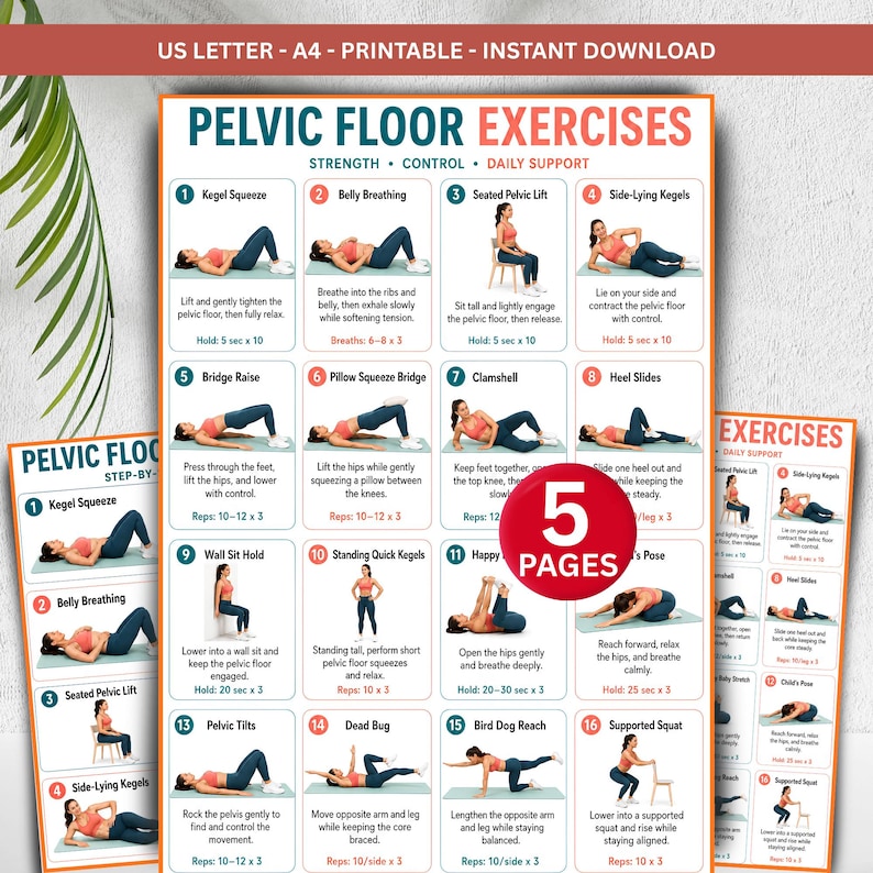 Pelvic Floor Exercises for Men and Women, Kegel Workout Chart, Core ...