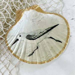 May include: A large scallop shell featuring a hand-painted black and white sandpiper bird on the interior surface. The shell has a white base color with a metallic gold painted rim along the scalloped edge, highlighting the natural ridges.