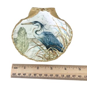 Pu&ograve; includere: Una conchiglia di capasanta decorativa con dipinto un airone blu tra canne e foglie. Il bordo della conchiglia &egrave; dipinto in oro metallizzato. Un righello di legno posizionato sotto mostra una larghezza di circa 12,7 cm.