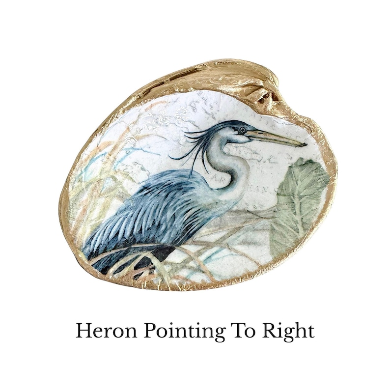 Pu&ograve; includere: Una conchiglia di ostrica decorativa con un'illustrazione dettagliata di un airone blu e grigio tra i canneti. La conchiglia ha un bordo dipinto in oro metallizzato e uno sfondo con un tenue testo cartografico. Il testo Heron Pointing To Right &egrave; sotto.