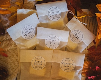 Fall Fragrance Sampler Flight | Set of 6 Mini Autumn Wax Melts