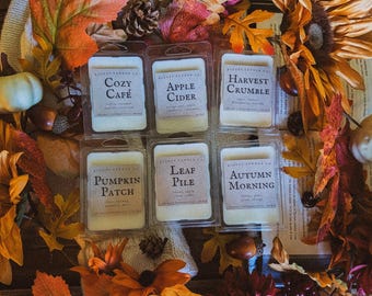 Cozy Fall Wax Melts | Autumn Spices, Apple, Pumpkin, Leaves, & Coffee Scents