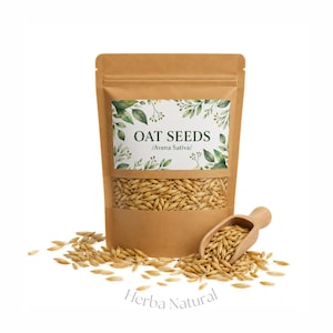 Könnte beinhalten: Ein brauner Kraftpapierbeutel mit Haferkörnern, beschriftet mit OAT SEEDS /Avena Sativa/ und einem grünen Blattrand. Eine kleine Holzschaufel gefüllt mit Haferkörnern liegt vor dem Beutel, wobei lose Körner auf der Oberfläche verstreut sind.