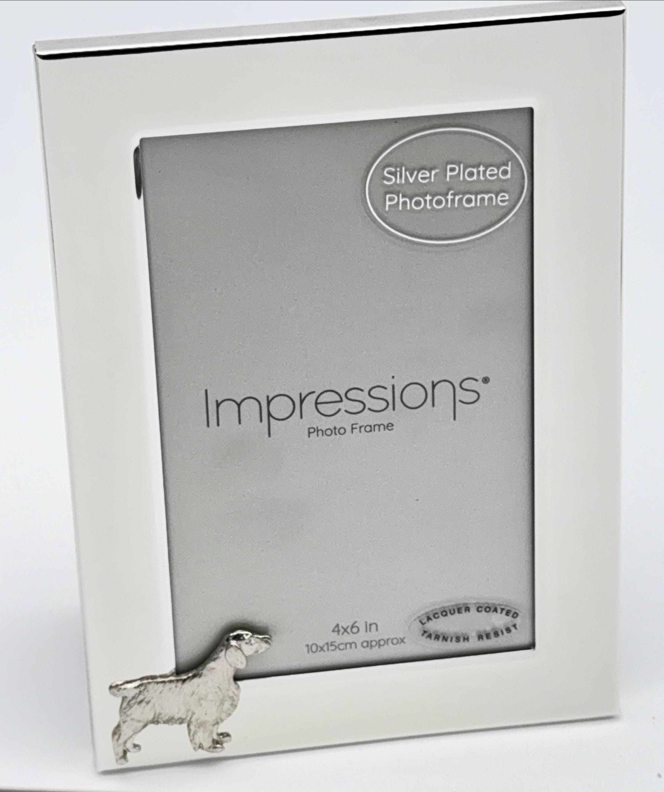 Welsh Frame Welsh Springer Spaniel Dog Photo Frame by Alden Arts - Etsy