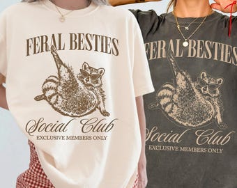 Funny Besties Shirt, Matching Besties Shirts, Best Friend Shirt, Best Girl Friends Gifts, Bestie Shirt, BFF Shirts, Best Friend Tee BFF Gift