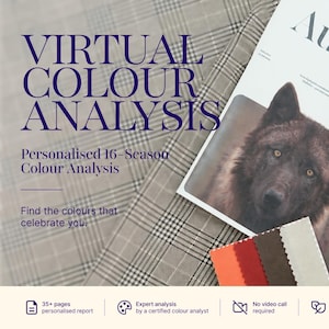 Puede incluir: Una guía de análisis de color virtual titulada Muted Autumn Guide con una fotografía de un perro de pelaje oscuro y ojos color ámbar. La guía incluye un círculo cromático circular y cuatro muestras de tela en naranja, rojo, marrón y crema.