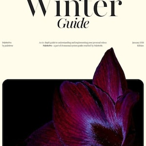 Deep Winter Color Analysis Guide: Personal Palette E-Book (16 Seasons) | January 2026 Edition