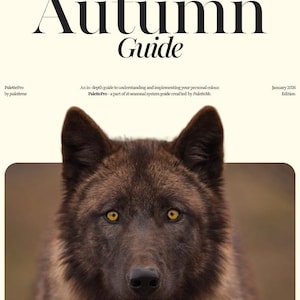 Analysegids voor gedempte herfstkleuren: e-boek persoonlijk palet (16 seizoenen) | Editie januari 2026