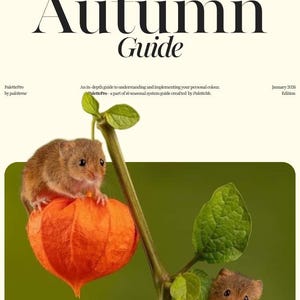 Analysegids warme herfstkleuren: e-boek persoonlijk palet (16 seizoenen) | Editie januari 2026