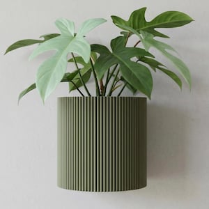 Peut inclure: Un cache-pot cylindrique mural au fini vert olive mat avec une texture nervurée verticale. Le cache-pot contient une plante philodendron verte aux feuilles lobées. Le design présente un bord supérieur plat et un motif vertical régulier.